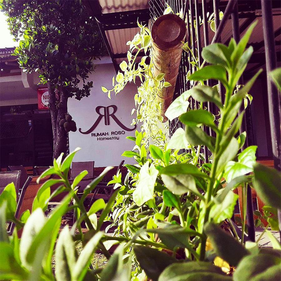 Rumah Roso Homestay Jogjacarta Exterior foto